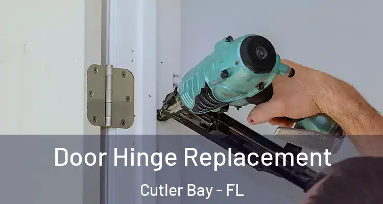  Door Hinge Replacement Cutler Bay - FL