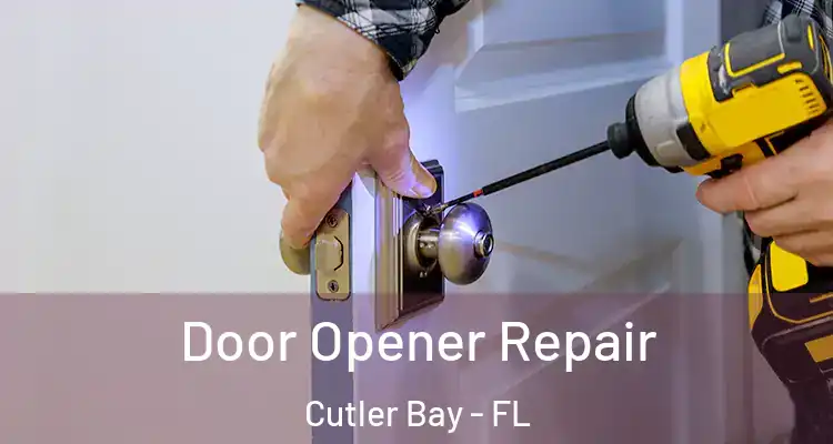  Door Opener Repair Cutler Bay - FL