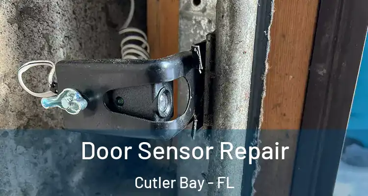  Door Sensor Repair Cutler Bay - FL
