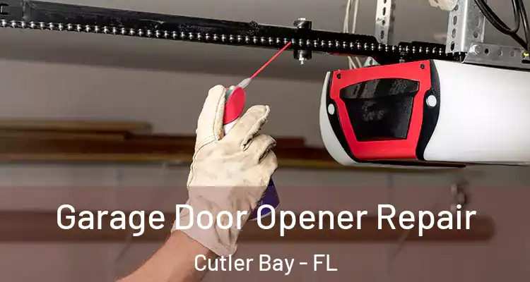  Garage Door Opener Repair Cutler Bay - FL