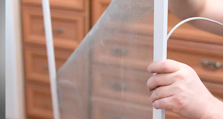 Privacy Mesh Screen Door Installation in Cutler Bay, FL