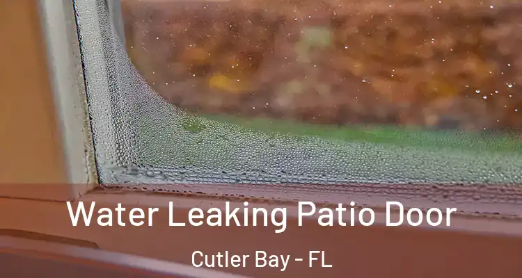  Water Leaking Patio Door Cutler Bay - FL